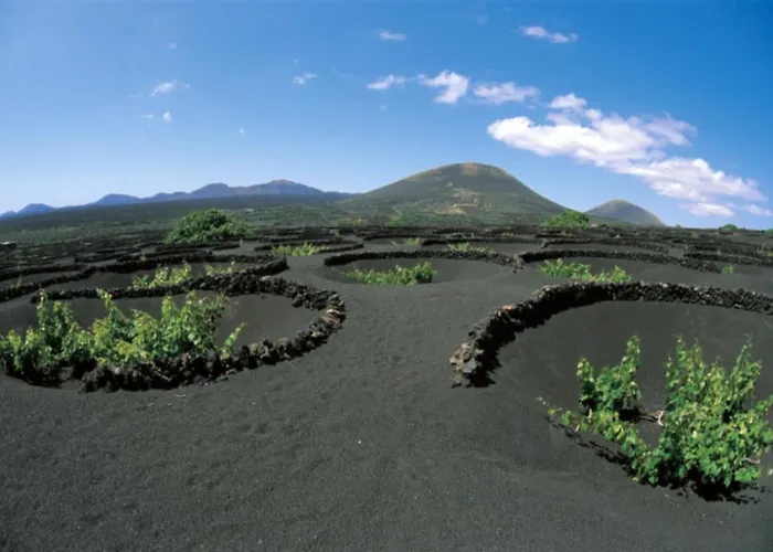 兰萨罗特岛蓝色湾酒店 * 科斯塔特吉塞